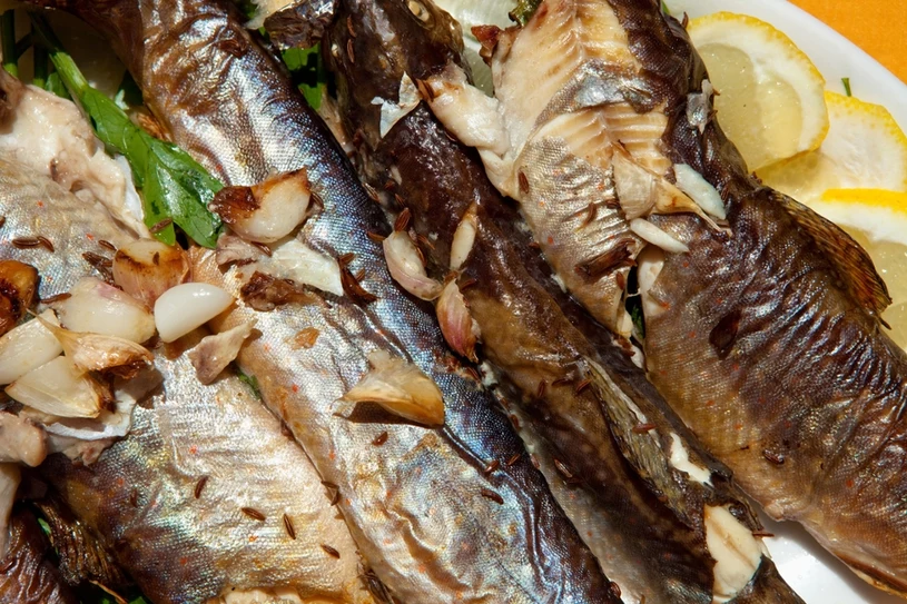 Tuto baltskou delikatesu lze jíst pouze v květnu a červnu. Tato ryba chutná jako kuře a má zelené kosti.