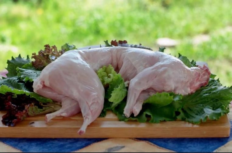 Ideální maso existuje! Vědci dokázali, že je desetkrát zdravější než kuřecí a hovězí maso a má neuvěřitelnou chuť, která předčí i krůtí maso!