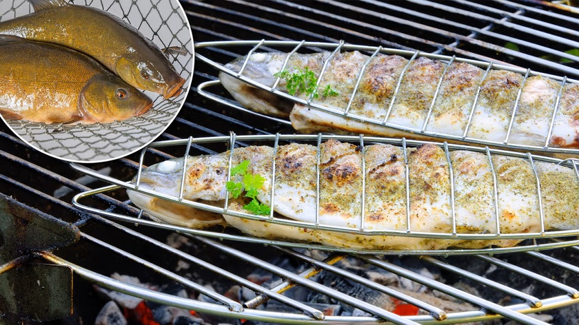 Je to delikatesa, ale málokdo si ji pamatuje. Velmi chutná na grilu.