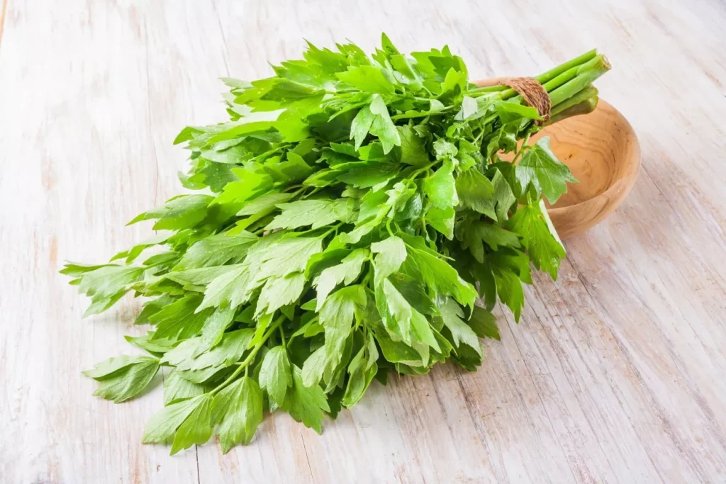 Lepší koření na maso a vývar nenajdete. Recept je jednoduchý.