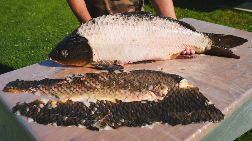 Proč o této metodě nikdo dříve nemluvil? Rychlý způsob, jak očistit rybu