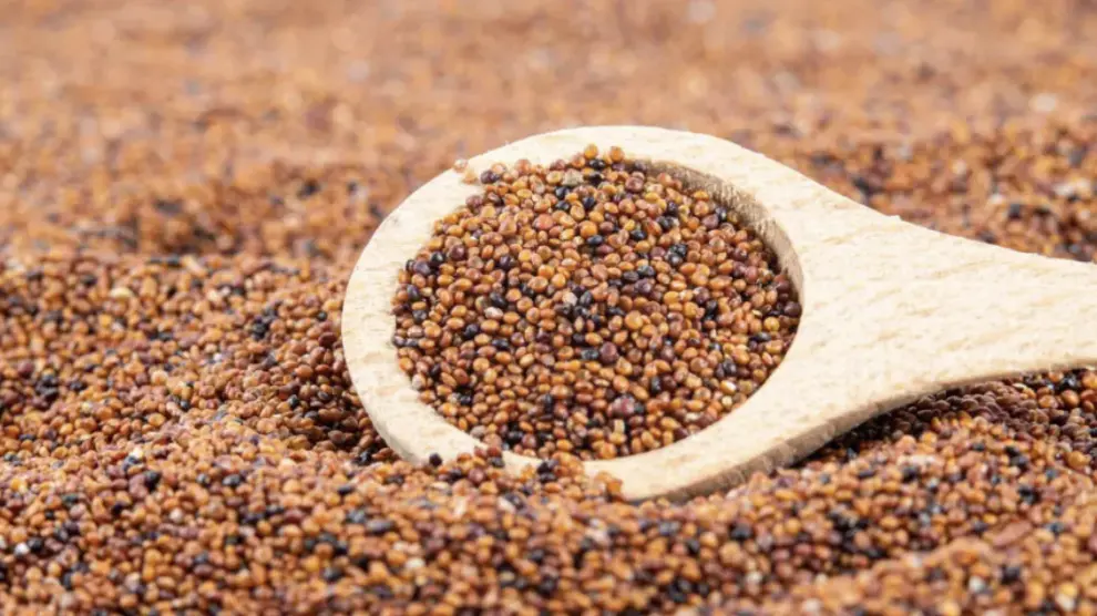 Sbohem, oves a quinoa: bezlepkové vločky, které zpomalují stárnutí, posilují svaly a paměť.