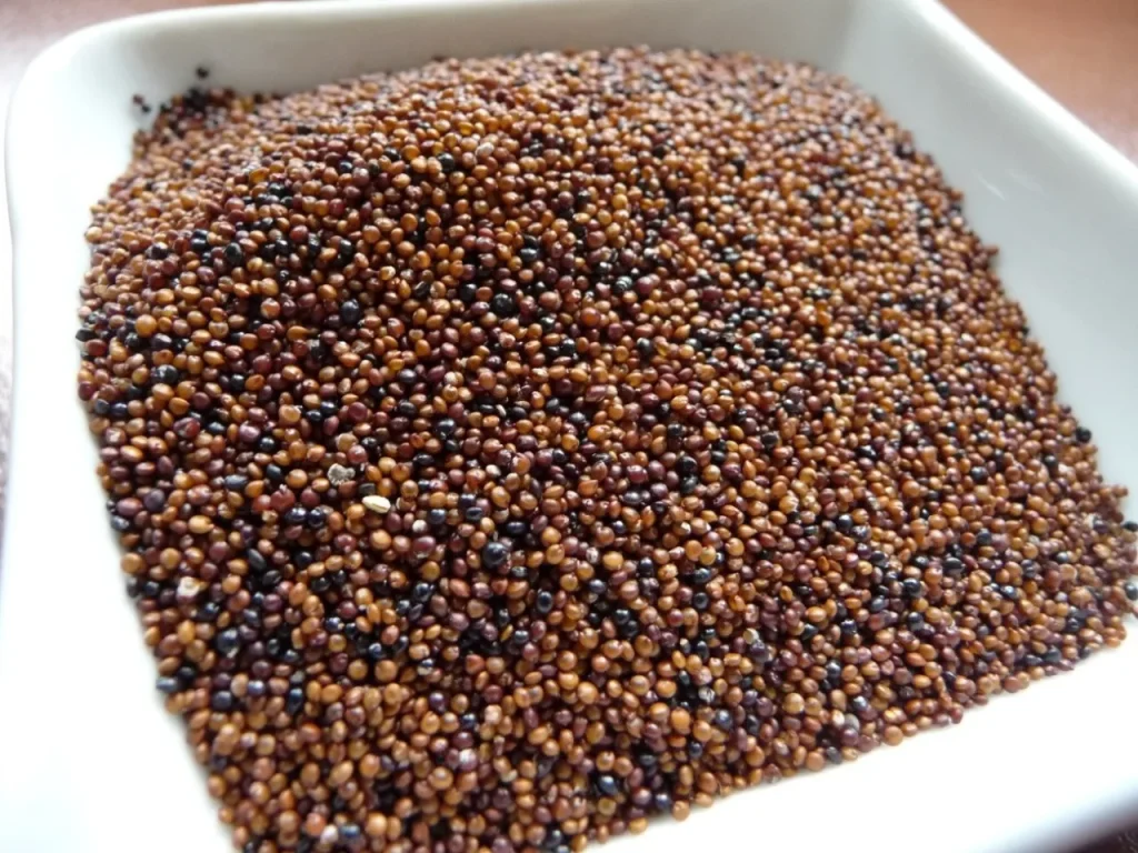 Sbohem, oves a quinoa: bezlepkové vločky, které zpomalují stárnutí, posilují svaly a paměť.