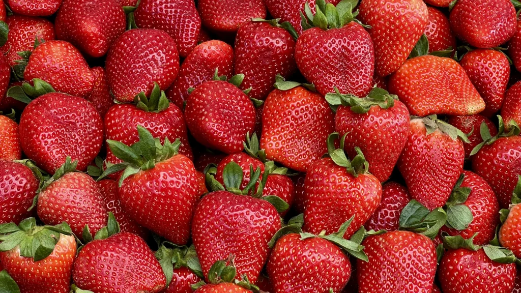 Takto lze rozlišit české jahody od zahraničních. To by mělo upoutat pozornost.