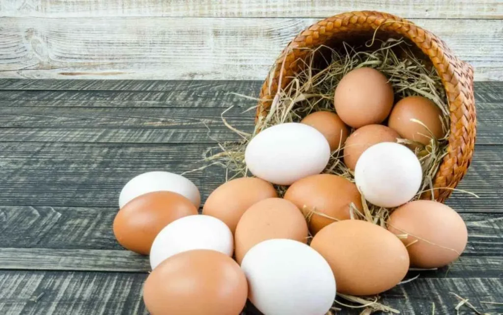 Kardiolog: „Stejné množství vajec zvyšuje hladinu cholesterolu v krvi více či méně v závislosti na vašem jídelníčku.“