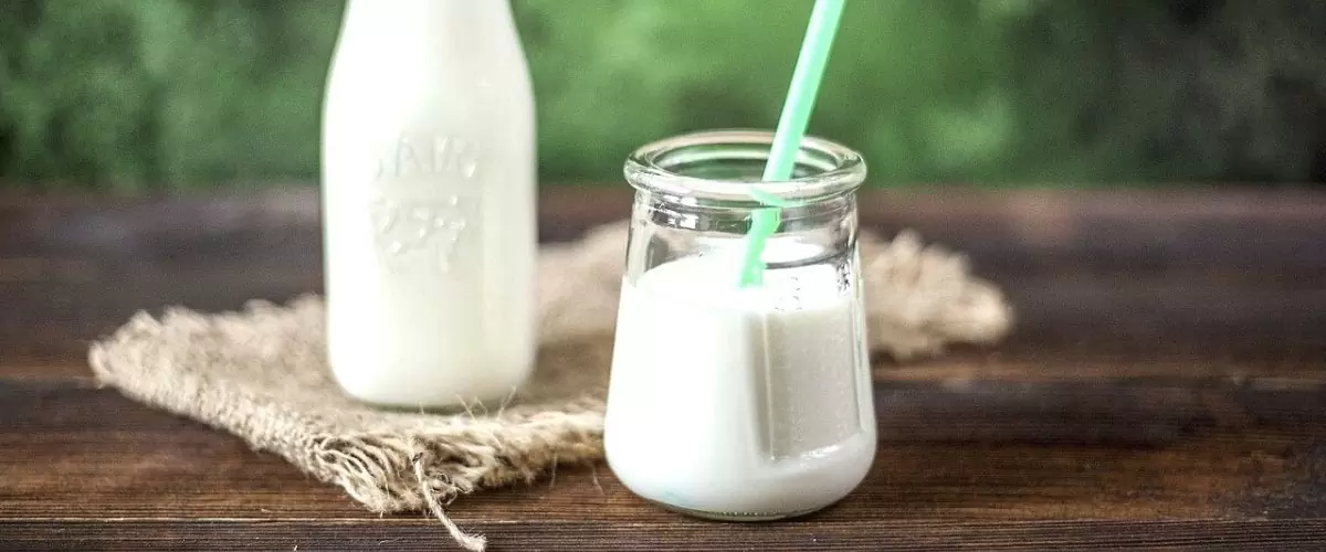 Jak připravit kefír z mléka doma: kompletní návod na přípravu mléčného produktu, který je zdrojem probiotik