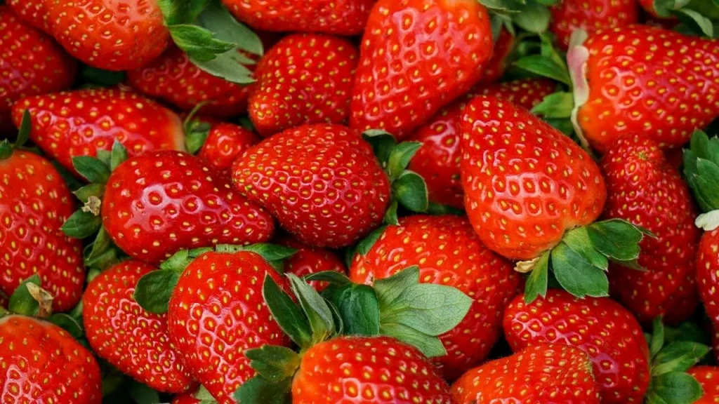 Častá chyba v kuchyních. Jahody rychle kazí