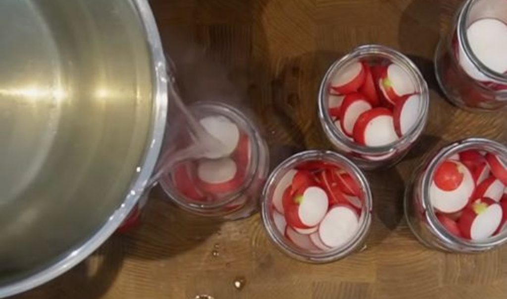 Recept na nakládanou ředkvičku. Ideální do sendvičů.
