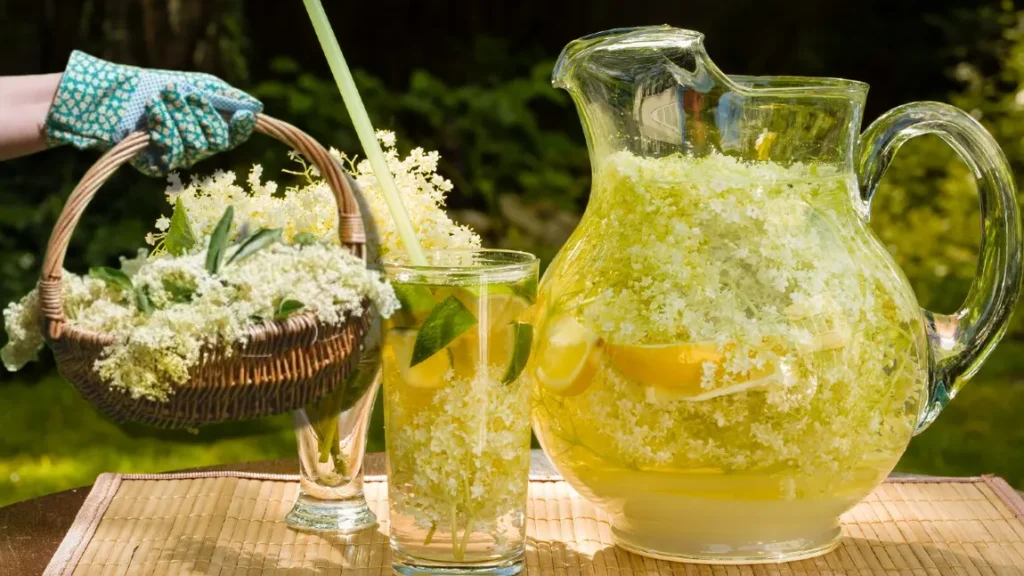 Sokata – nápoj dětství. Rychlý recept bez cukru