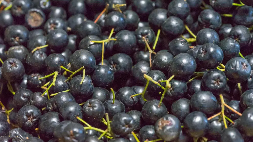 Černé zlato – ovoce bohatý na vitamíny, který pomáhá udržovat rovnováhu cukru a krevního tlaku.