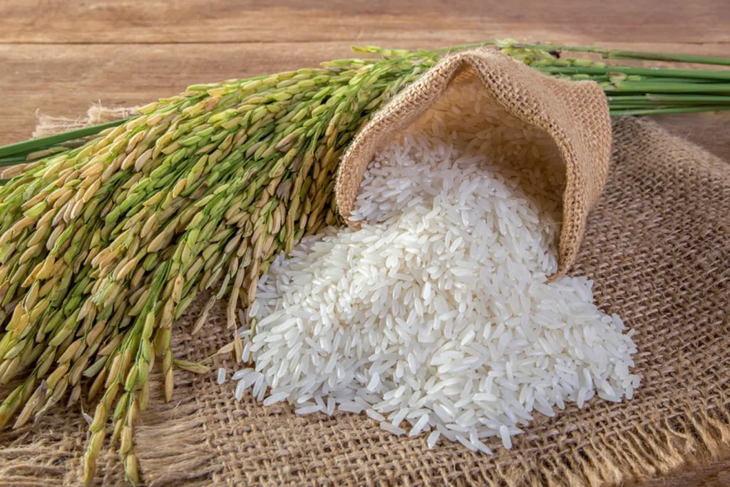 Jak uvařit rýži s kuřecím masem: nejtradičnější argentinský recept