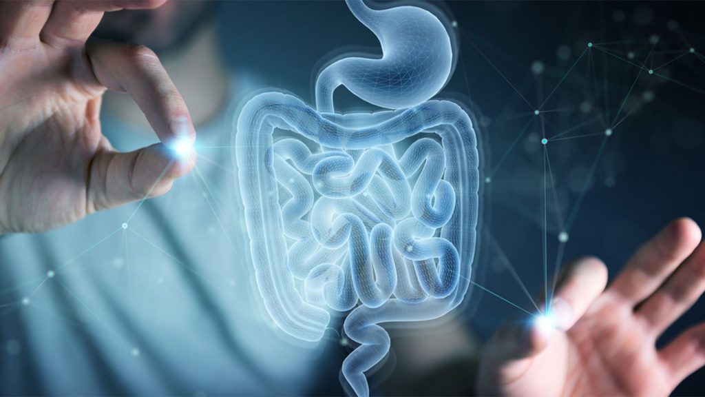Dva lidé, stejné jídlo, odlišná váha: bakterie mikrobioty rozhoduje, kolik kalorií si zachováte